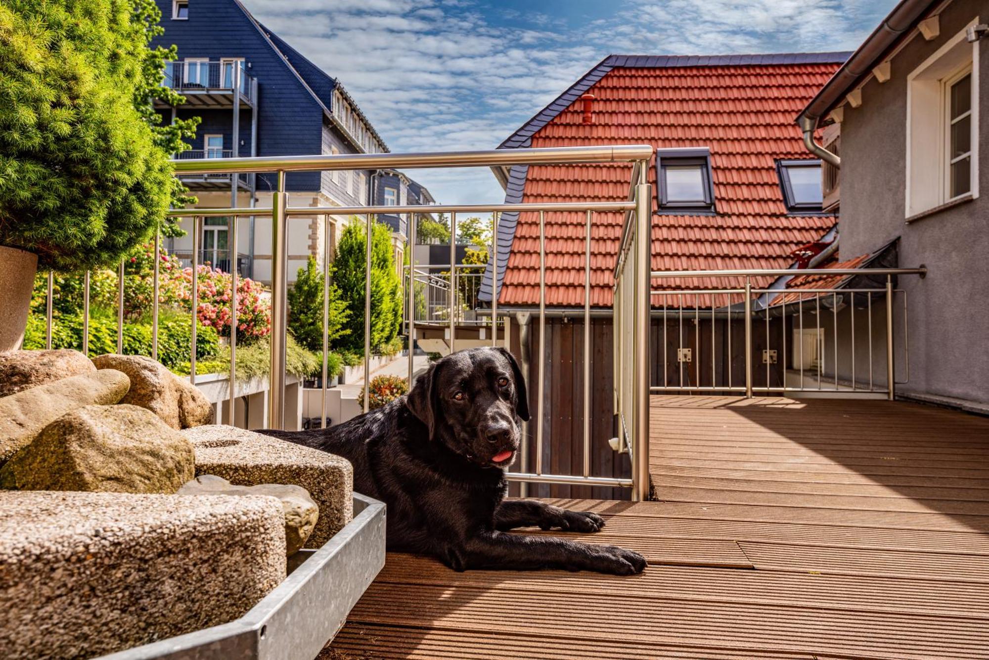 Apartment City-appartements Am Goslar